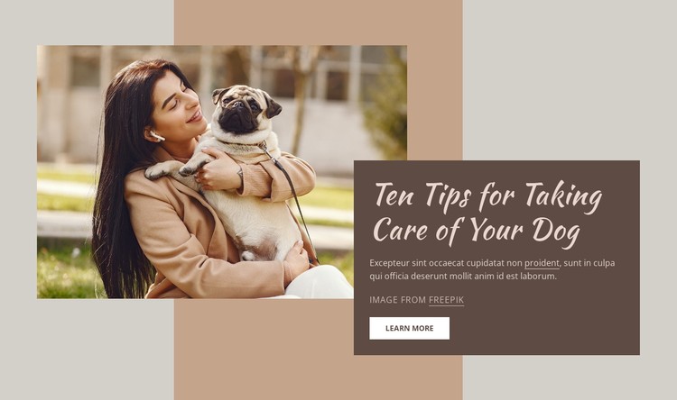High quality dog care CSS Template