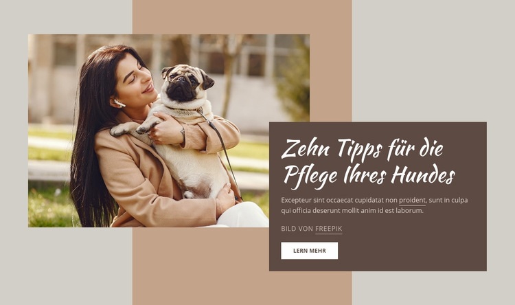 Hochwertige Hundepflege Website-Modell