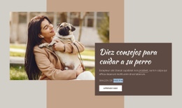 Tema HTML5 Para Cuidado De Perros De Alta Calidad