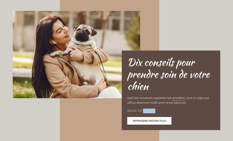 Soins pour chiens de haute qualité Maquette de site Web