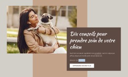Soins Pour Chiens De Haute Qualité - Modèle Professionnel D'Une Page