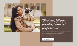 Layout CSS Gratuito Per Cura Del Cane Di Alta Qualità