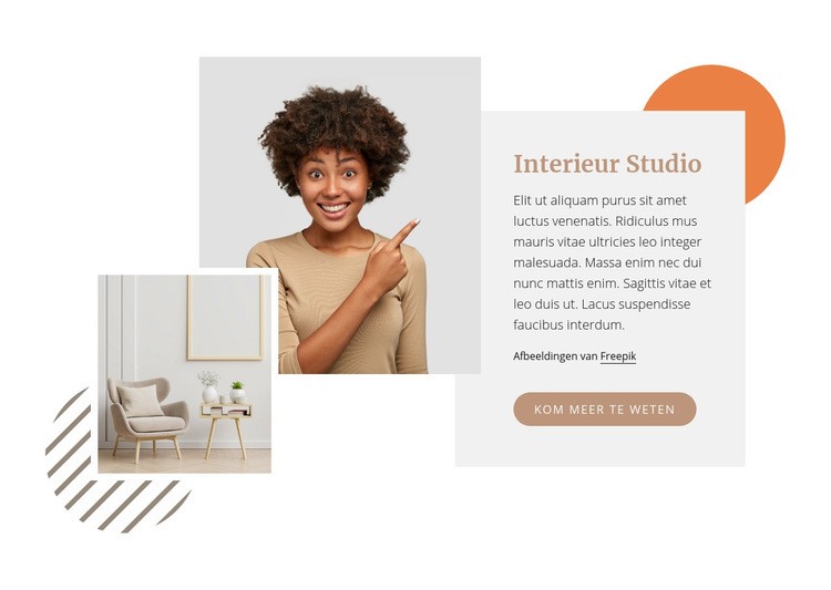 Gespecialiseerd in luxe wooninterieurs WordPress-thema