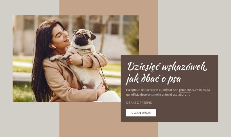 Wysokiej jakości pielęgnacja psa Makieta strony internetowej