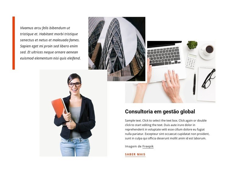 Consultoria global Landing Page