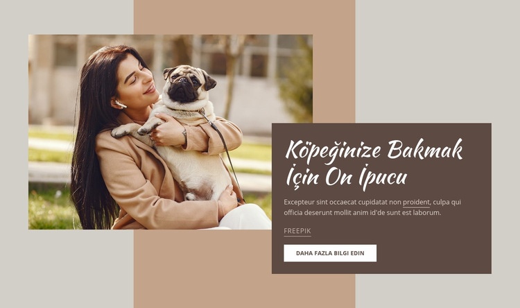 Yüksek kaliteli köpek bakımı Web Sitesi Mockup'ı