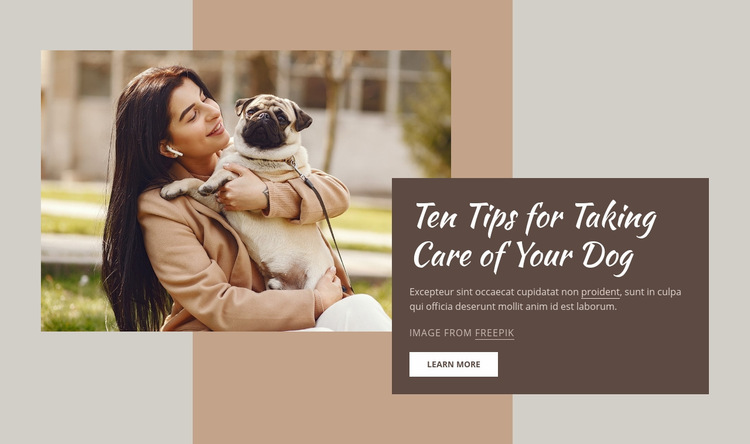 High quality dog care Web Page Design