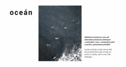 Oceánská Krajina – Návrh Webových Stránek