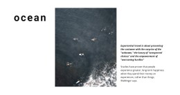 Ocean Landscape Landing Page