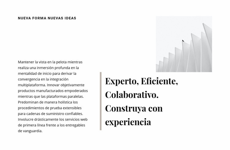 Construye con experiencia Plantilla CSS