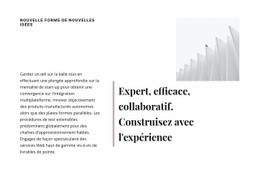 Maquette De Site Web Premium Pour Construisez Avec L'Expérience