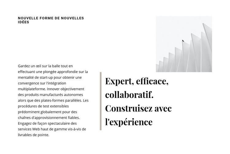 Construisez avec l'expérience Maquette de site Web