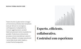 Costruisci Con L'Esperienza: Tema WordPress Moderno