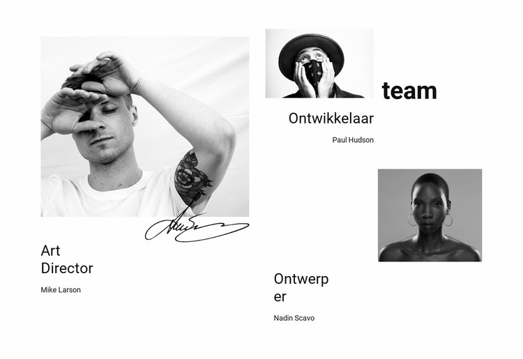 Ons bedrijfsteam WordPress-thema