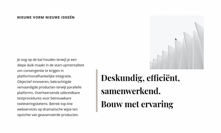 Bouw met ervaring Website mockup