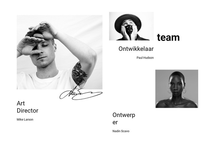 Ons bedrijfsteam Website ontwerp