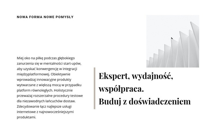 Buduj z doświadczeniem Szablon witryny sieci Web