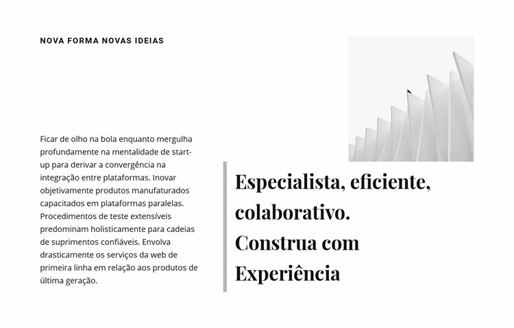 Construa com experiência Template CSS