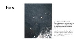 Fantastisk Ren Kod För Havslandskap