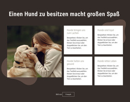 Einen Hund Zu Besitzen Macht Großen Spaß