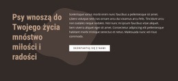 Dlaczego Kochasz Swojego Psa - Niesamowity Motyw WordPress