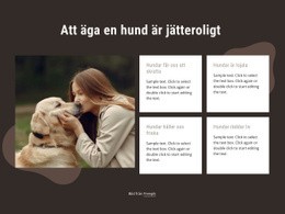Att Äga En Hund Är Jättekul - HTML-Sidmall