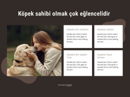 Köpek Sahibi Olmak Çok Eğlencelidir