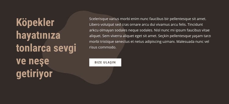 Neden köpeğini seviyorsun CSS Şablonu