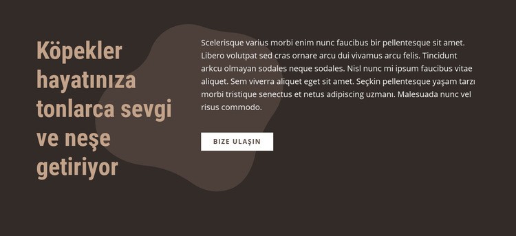 Neden köpeğini seviyorsun Web Sitesi Mockup'ı