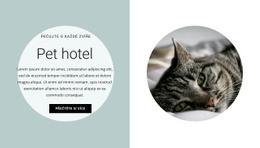 Domov Pro Naše Přátele – Stažení Šablony HTML