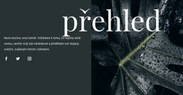 Přehled Designu – Bezplatný Motiv WordPress