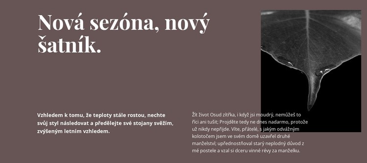 Nová sezóna nový šatník Téma WordPress