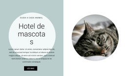 Diseñador De Sitios Web Para Hogar Para Nuestros Amigos