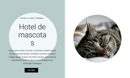 El Mejor Diseño De Sitio Web Para Hogar Para Nuestros Amigos