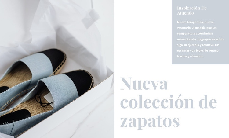 Colección de zapatos de primavera Diseño de páginas web