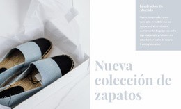 Colección De Zapatos De Primavera Sitio Web De Comercio Electrónico