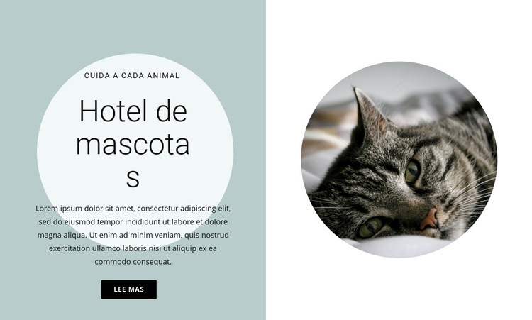 Hogar para nuestros amigos Plantilla HTML5