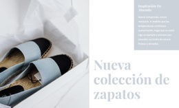 Colección De Zapatos De Primavera - Plantilla De Diseño De Sitio Web