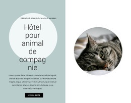 Page HTML Pour Accueil Pour Nos Amis