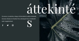 Tervezési Áttekintés - Modern Webhelytervezés