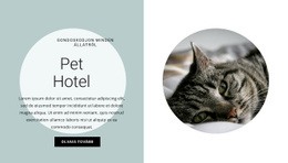 A Legjobb Webhelytervezés Otthon A Barátainknak Számára