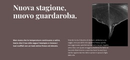 Fantastico Design Del Sito Web Per Nuovo Guardaroba Della Nuova Stagione