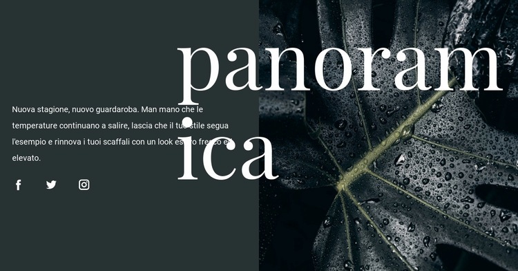 Panoramica del design Progettazione di siti web