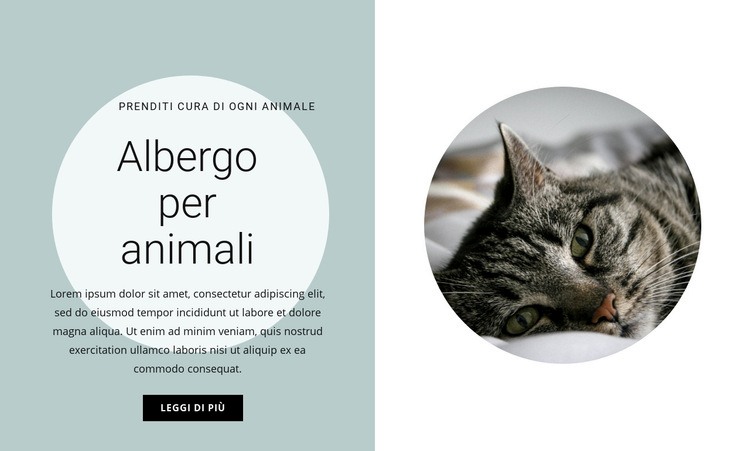 A casa dei nostri amici Mockup del sito web