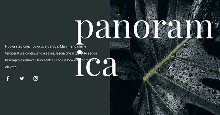 Panoramica del design Modello HTML