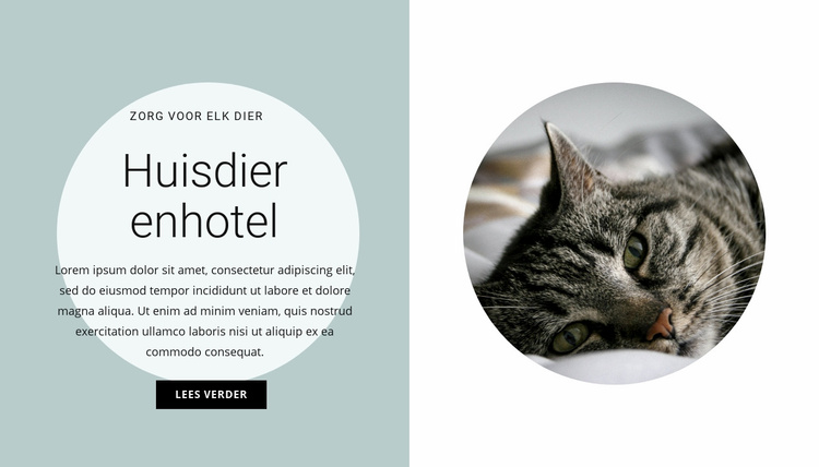 Thuis voor onze vrienden Website mockup