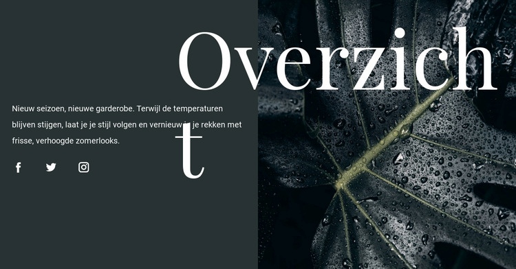 Ontwerpoverzicht Website ontwerp