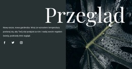 Ekskluzywny Kreator Stron Internetowych Dla Przegląd Projektu