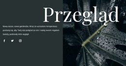 Przegląd Projektu - Kreatywna, Wielofunkcyjna Makieta Witryny Internetowej