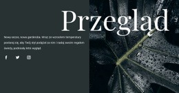 Przegląd Projektu - Strona Docelowa